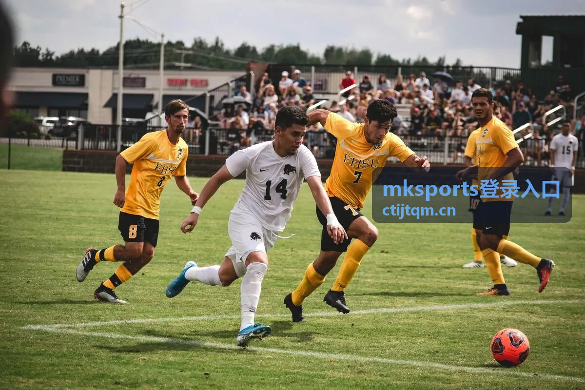 mksports登录入口在线咨询与问题排查场景